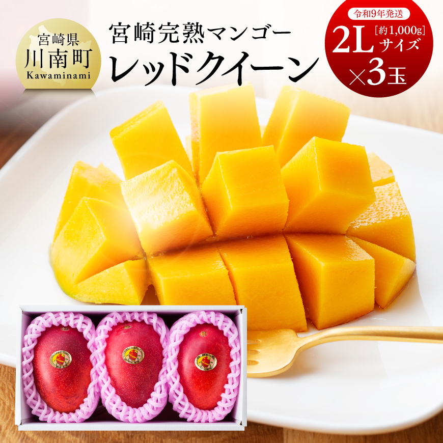 【令和9年発送】宮崎県産完熟マンゴー　「レッドクイーン」2L×3玉　果物 フルーツ マンゴー[B03216]