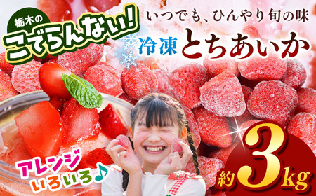 栃木のこでらんない冷凍イチゴ（とちあいか）約3kg | いちご イチゴ 果物 フルーツ 苺 甘い 美味しい とちあいか 大粒 ジューシー 映え 産地直送 栃木県 真岡市 朝摘み 酸味が少ない 冷凍いちご