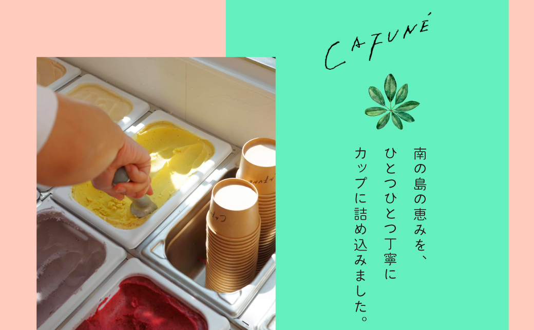 添加剤不使用 CAFUNÉ アイスクリーム 8個セット | 沖縄の食材 国産 厳選素材 手づくり アイス クラフトアイスクリーム | デザート アレンジ 贈り物 ギフト | 沖縄県 宜野湾市 送料無料