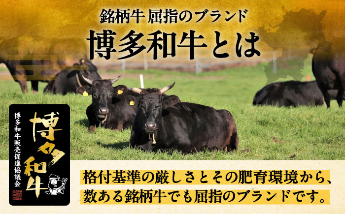 博多和牛 サーロイン ステーキ 200g × 3枚