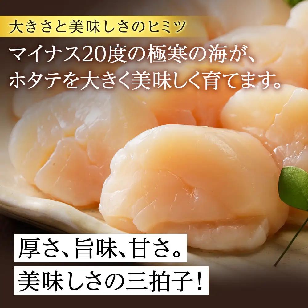 北海道産 白老加工 ホタテ玉冷大（800g）＜斉藤水産＞ AM209