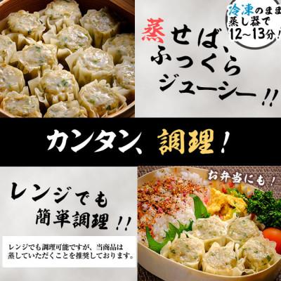 ふるさと納税 志布志市 鹿児島県志布志産黒豚使用 南国熊曽黒豚五目シュウマイ 計40個(10個×4パック) |  | 03