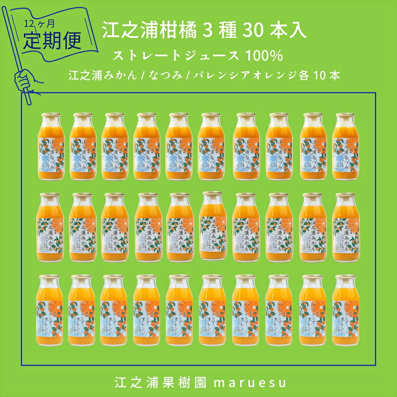 【ふるさと納税】定期便12回 小田原産江之浦みかんジュース3種のみくらべ30本セット うんしゅう・なつみ・バレンシアオレンジ100％ストレートジュース180ml各10本合計30本【 神奈川県 小田原市 】