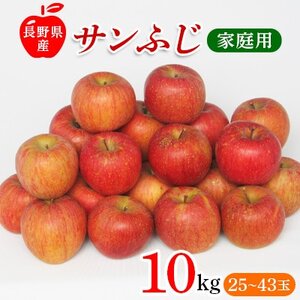 【12月上旬より順次発送】サンふじりんご　家庭用　10kg【1449710】