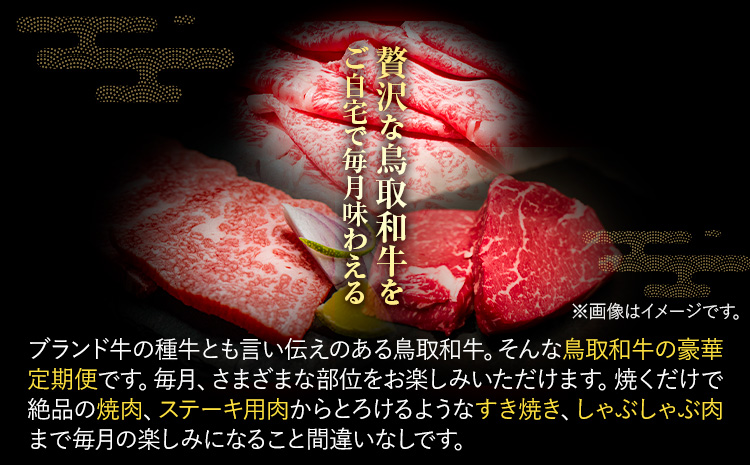 【和牛セレブ】 鳥取和牛 定期便 プラチナクラス 全6回 6ヶ月『和牛セレブ｜お肉ギフト専門店』《お申込み月の翌月から発送》鳥取県 八頭町 和牛 牛 牛肉 国産 黒毛和牛 和牛セレブ しゃぶしゃぶ 焼