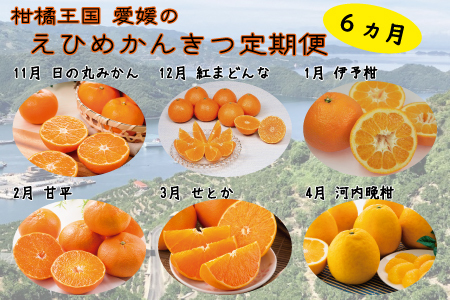 えひめかんきつ定期便【11月～4月】