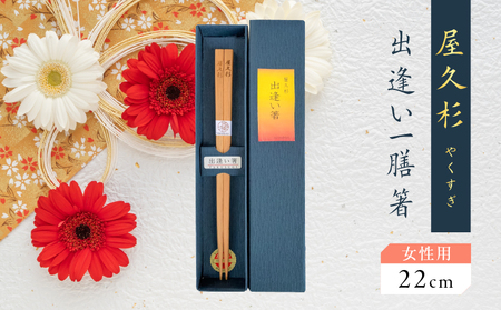 屋久杉 出逢い 一膳 箸 女性用（ 22cm ） K042-007_1 お箸 工芸品 出逢い一膳箸 世界自然遺産 手作り 職人 縁起物 長寿箸 贈り物 お祝い 屋久杉職人 テーブル用品 米玉利工芸 ふるさと納税 鹿児島 おすすめ ランキング プレゼント ギフト
