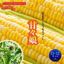 【ふるさと納税】【先行予約】2024年6月上旬から発送 山梨県産：甘々娘（とうもろこし）5kg箱　塩島農園[5839-1221]　【・・野菜・とうもろこし】　お届け：2024年6月上旬より順次発送予定