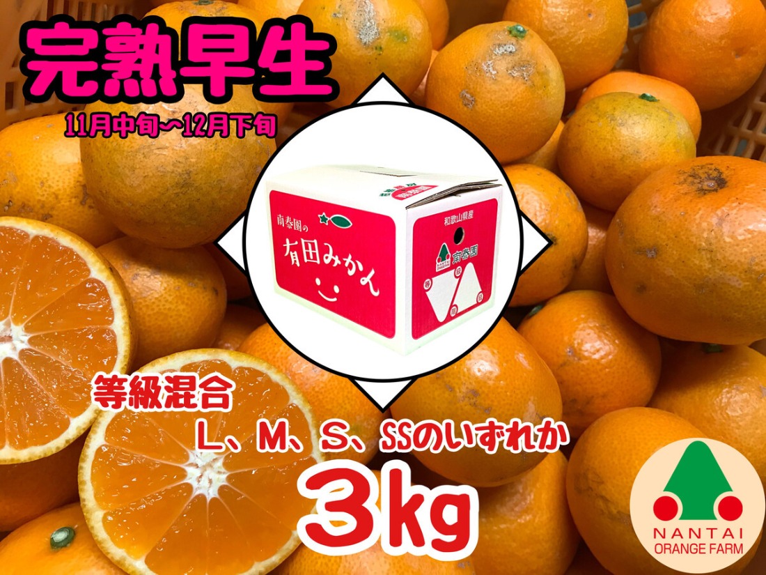 等級混合 完熟早生 有田 みかん L ～ SS サイズ 3kg 南泰園 和歌山 有田みかん BS594