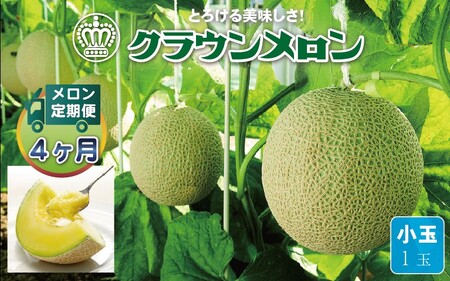 【毎月定期便】クラウンメロン(白等級) 小玉1玉 全4回 7124