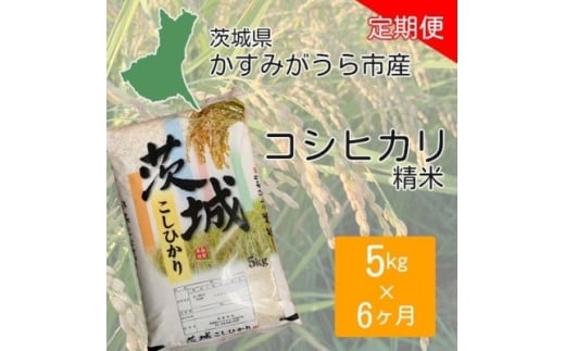 ＜毎月定期便＞茨城県かすみがうら市産　精米　コシヒカリ5kg全6回【4076523】