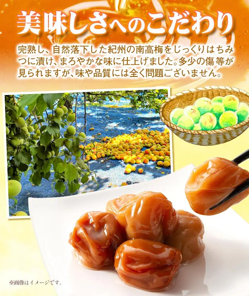 南高梅 紀州南高梅 はちみつ梅 1kg