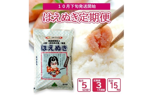 10月下旬発送開始／【3回定期便】令和8年産 ［精米］はえぬき　5kg×3回(計15kg) JS　SD0323