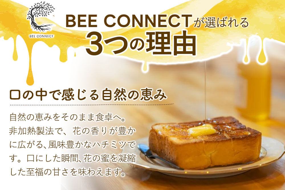はちみつ2個セット（MARRONNIER・KENPONASHI ガラスびん）300g×各1個 計2個 [BEE CONNECT はちみつ ハチミツ 蜂蜜 セット ガラス瓶 瓶 マロニエ 栃 トチ 玄圃梨 秋田県産]