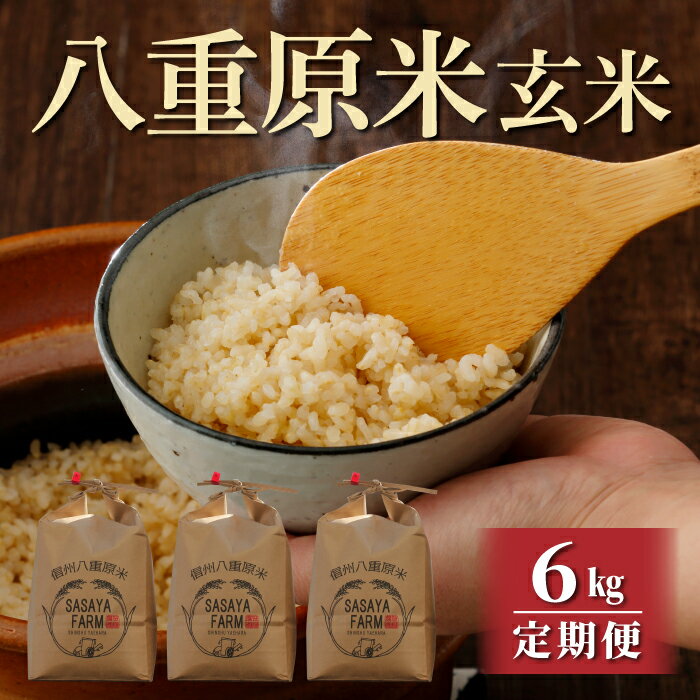 【ふるさと納税】令和7年新米予約【定期便】八重原米6kg（2kg×3袋）玄米　※2025年10月以降順次発送｜笹屋農園