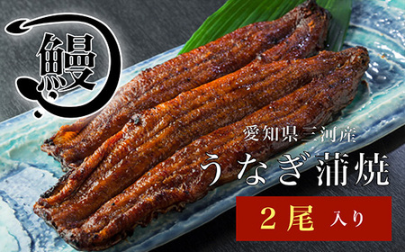 No.142 うなぎの蒲焼2尾