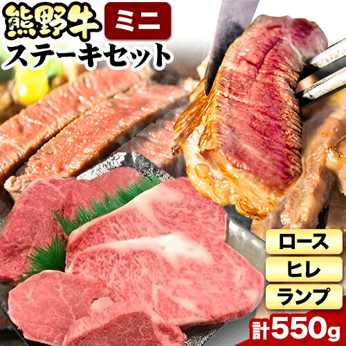 【ふるさと納税】熊野牛 ステーキバラエティセットミニ(粉山椒付き) 澤株式会社(Meat Factory) 合計 約550g《30日以内に出荷予定(土日祝除く)》 和歌山県 日高町 熊野牛 牛 うし 牛肉 ステーキ セット ロース ヒレ ランプ 送料無料