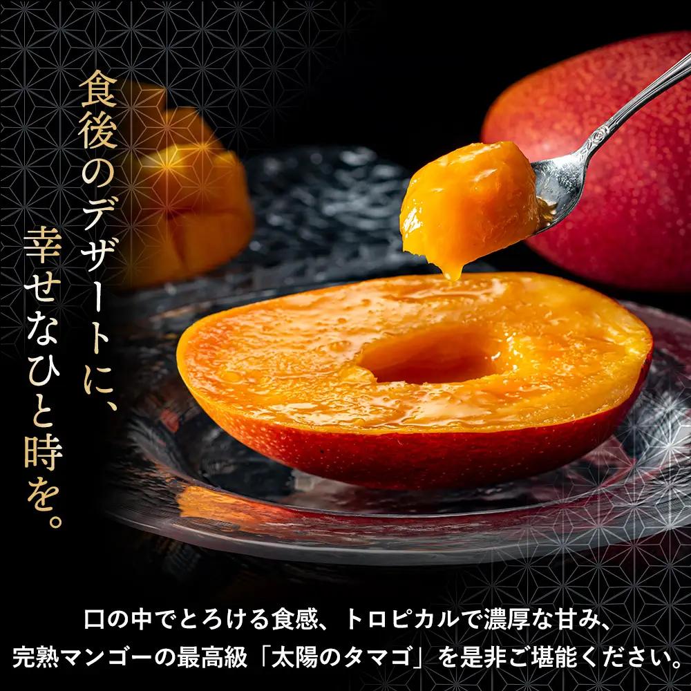 完熟マンゴー『太陽のタマゴ』３玉（約１kg）【JA綾町】_A0114-1011