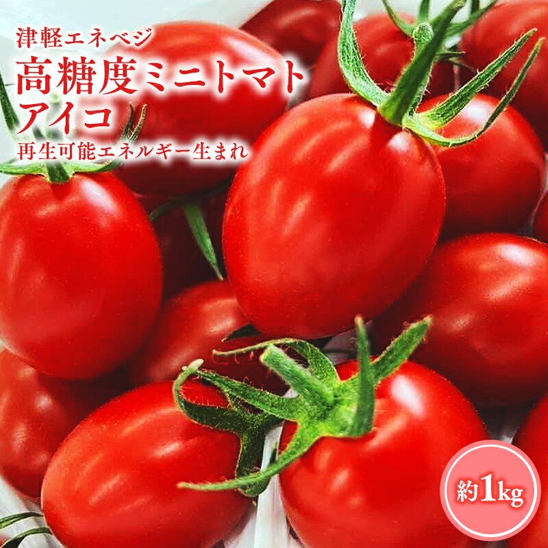 【ふるさと納税】≪6月以降順次発送≫ 高糖度 ミニトマト [アイコ] 約1kg トマト とまと プチトマト 高品質 野菜 やさい 減農薬 お取り寄せ 青森県 平川市 平川 レビューキャンペーン
