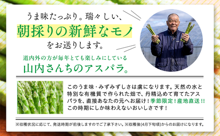 【先行受付】R8年産 アスパラガス 1kg 山内農園 | グリーンアスパラ グリーンアスパラガス アスパラ 大容量 野菜 春野菜 朝採れ 新鮮 極太 国産 サラダ 天ぷら 炒め物 家庭用 数量限定 旬
