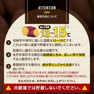 n331 ＜先行予約受付中！2025年10月下旬頃より順次発送予定＞種子島産 安納こがね(5kgセット) 国産 安納芋 黄金本場 種子島 芋 イモ いも さつまいも さつま芋 安納いも 野菜 【なかた