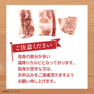 博多和牛　霜降りカルビ　全３回定期便　約500ｇ×3回