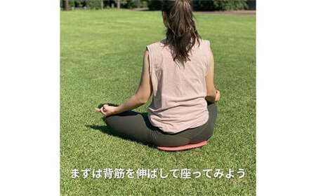 ココザ 【 ベージュ】 座りでカラダを変える | シートクッション 雑貨 ヘルスケア クッション 軽量 デスクワーク 骨盤 屋外 アウトドア 岐阜 岐阜県 美濃加茂市