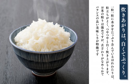≪令和8年産 先行予約≫12月中旬よりお届け! 　【6カ月定期便】特別栽培米 はれわたり白米10kg(5kg×2袋)×6回【青森県 平川市】先行予約 米 お米 玄米 青森県産 産地直送 おにぎり 朝ご