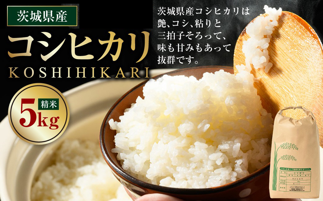 【先行予約】【令和8年産】茨城県産コシヒカリ 5kg ※2026年10月～発送 | 米 お米 おこめ コメ 白米 精米 ご飯 ごはん コシヒカリ こしひかり 茨城県 守谷市