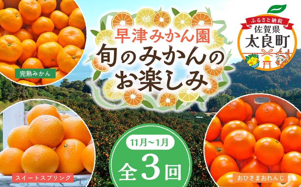 
            Ｑ-40 早津みかん園　旬のみかんのお楽しみ３回定期便（11月～2月）
          
