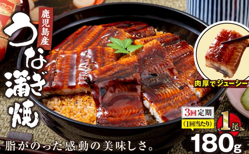 
                  【全3回定期便】鹿児島産うなぎ蒲焼 180g×1尾 清らかな地下水育ち！　KN021-T35
                