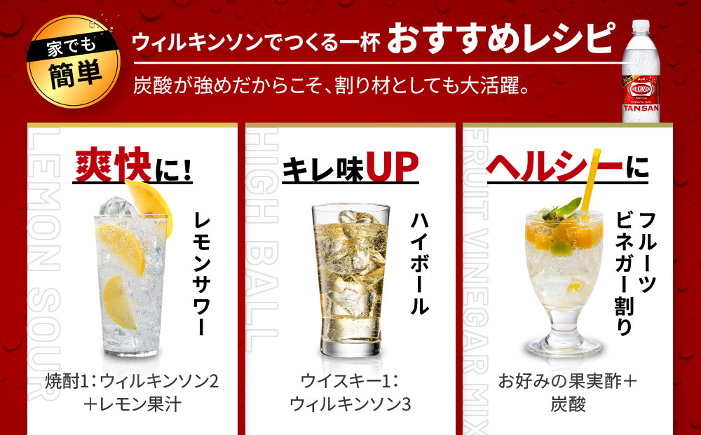 アサヒ飲料 ウィルキンソン タンサン（500mlペットボトル×24本×2箱）　炭酸水 ウィルキンソン 48本 ケース PET ドリンク 飲料 飲み物 人気 おすすめ 送料無料 備蓄 保存