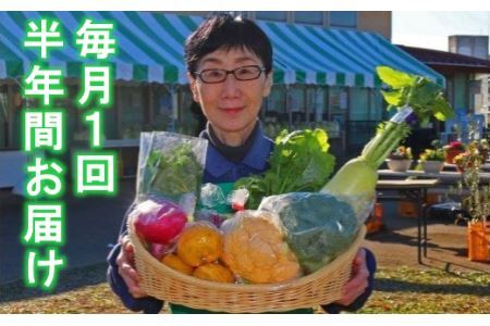 【6カ月定期便】厳選・「おおばん市場」旬の野菜詰め合わせ