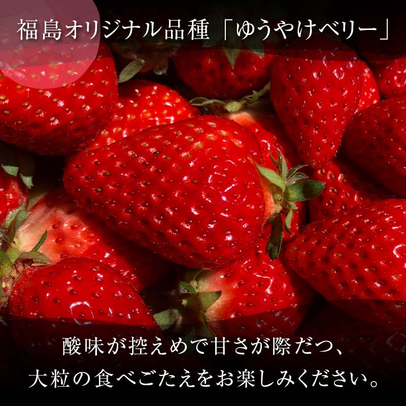 ＜限定＞新品種のいちご 福島県 オリジナル品種「ゆうやけベリー」約1kg（250g×4パック）イチゴ 苺 フルーツ 果物 伊達市  いちご イチゴ デザート くだもの 果実 食品 F20C-678