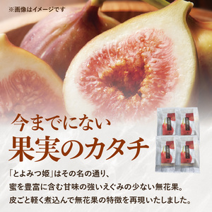 ドライフルーツ 潤果（無花果・とよみつ姫）セット ドライフルーツ いちじく ブランド果実 着色料不使用 保存料不使用 甘味 おやつ お茶菓子 おつまみ 福岡県 八女市 206-002