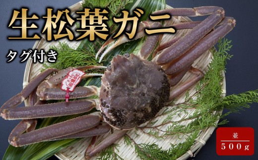 【魚倉】タグ付き生松葉ガニ(並５００ｇ)｜国産 タグ付き ズワイガニ 松葉ガニ カニ 蟹 かに 生 カニ鍋 かに鍋 鍋 かにしゃぶ かにみそ 期間限定 送料無料 鳥取県 三朝町