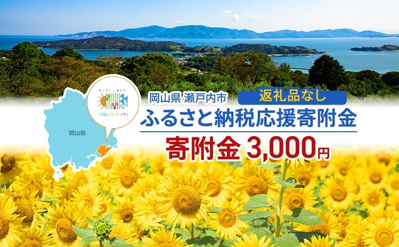 
            瀬戸内市への応援寄附（返礼品はありません）1口 3,000円 返礼品なし [№5735-2099]
          