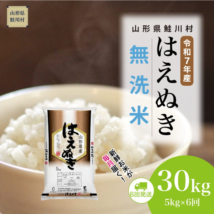 ＜令和7年産米＞ はえぬき 【無洗米】30kg定期便 (5kg×6回)　《配送時期指定可》