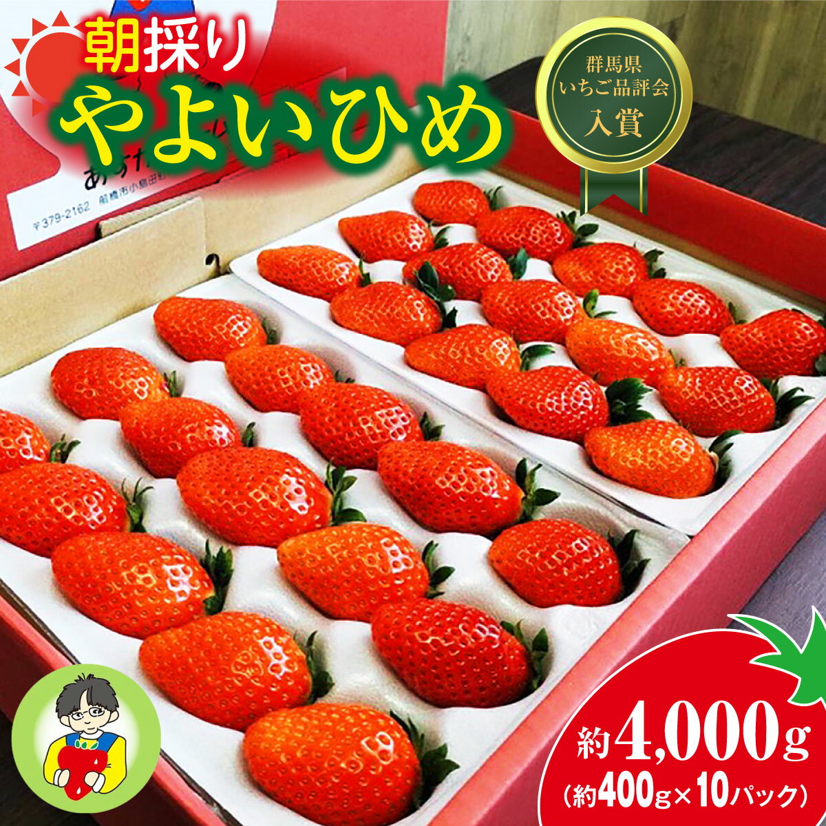 【ふるさと納税】＜2026年 先行予約＞やよいひめ400g × 10パック 4kg｜コク 甘み 朝採れ やよいひめ 大粒 甘み 酸味 バランス 贈答用 新鮮 完熟 いちご 旬 苺 ストロベリー 産地直送 果汁 甘い あまい 人気 高評価 減農薬 美容 健康 旨味 高糖度 ごほうび 群馬県 前橋市