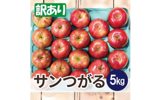 ＜25年8月より順次発送＞平均糖度12度以上! サンつがる 約5kg 訳あり  クール便【1611778】