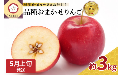 【2026年5月上旬発送】 特撰 丸かじり青森りんご 3kg程度 品種おまかせ1種（スマートフレッシュ貯蔵またはCA貯蔵）