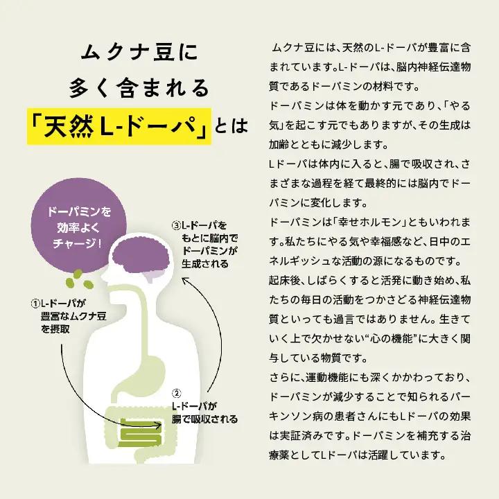 あだたらムクナ豆粉100g×2袋【ADATARAふぁーむ】