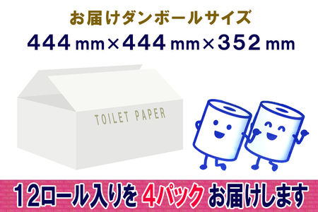 定期便 【全4回】 3ヶ月に1回お届け 長巻きロール トイレットペーパー 12R×4P(48個) ダブル 日用品 長持ち エコ 防災 備蓄 消耗品 生活雑貨 生活用品 紙 ペーパー 生活必需品 長巻き