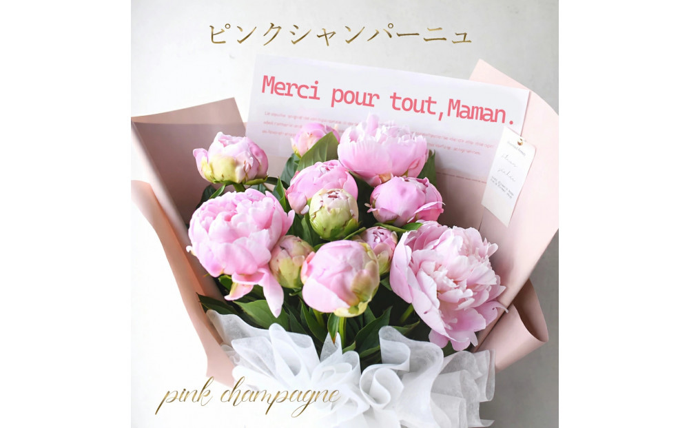 【母の日】ピンクシャンパーニュ＜お届け日：2026年5/4～5/10 当店おまかせ ＞母の日カード付き【 母の日 ギフト アレンジ 花 贈り物 大阪府 門真市 】