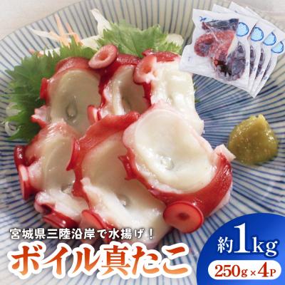 ふるさと納税 石巻市 真たこ ボイル  約1kg 蛸 たこ タコ ボイル済み 冷凍 小分け CAS凍結 海鮮 魚介類