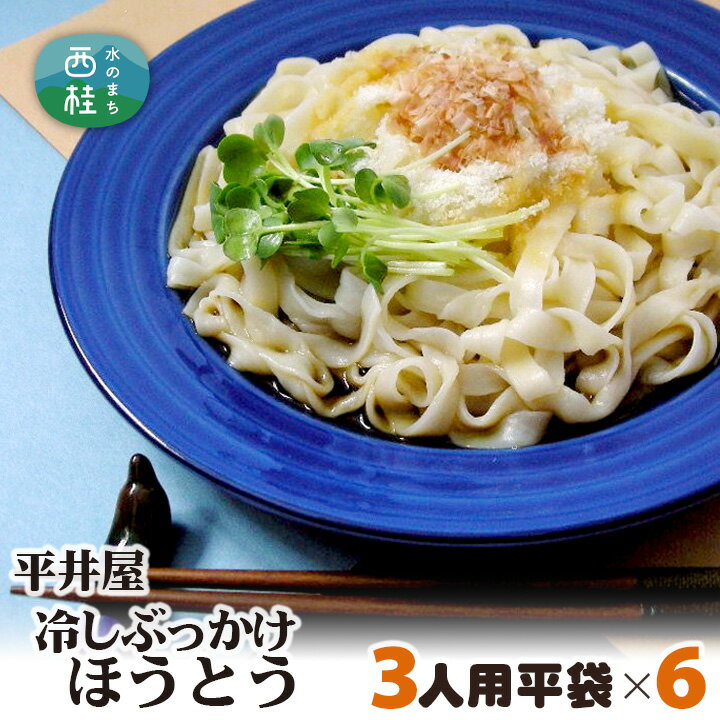 【ふるさと納税】 No.248 冷しぶっかけほうとう3人用平袋×6パック ／ セット つゆ だし 郷土料理 送料無料 山梨県 特産品