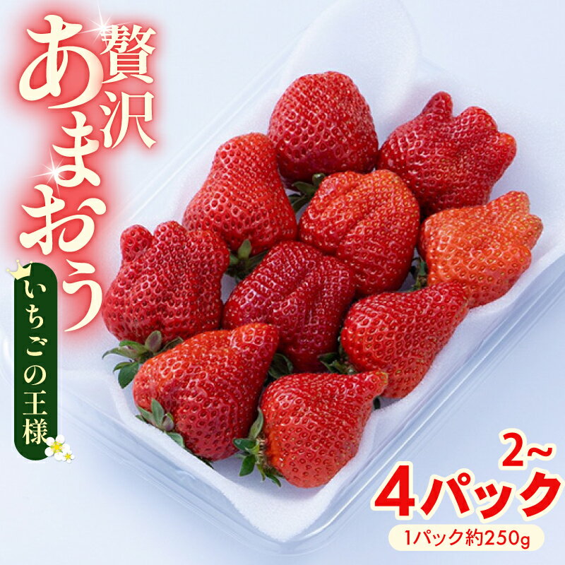 【ふるさと納税】【2026年12月上旬から2027年1月末発送】 選べる種類 福岡県産 冬あまおう 2~4パック 冷蔵 小分け いちご 福岡県産 苺 あまおう 苺 イチゴ フルーツ あまおう 果物 スイーツ 高級 くだもの 春 旬 数量限定 期間限定 福岡県 川崎町