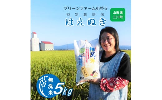 【令和7年産】《無洗米》グリーンファーム小野寺のはえぬき5kg　※10月中旬頃から順次配送予定