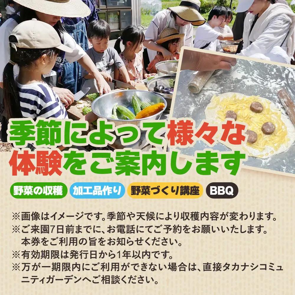 タカナシコミュニティガーデンのメンバーとのアクティビティチケット（5名様まで）＜レターパックプラス＞
