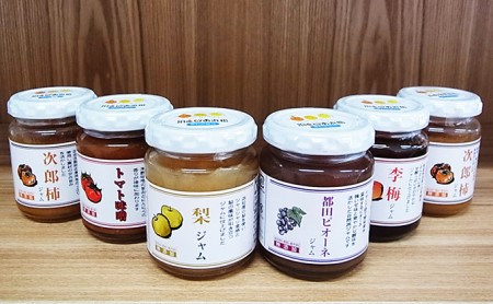 遠州の果物、野菜加工品詰合せ（柿２本）